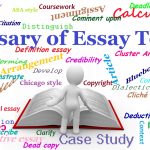 Essay terms